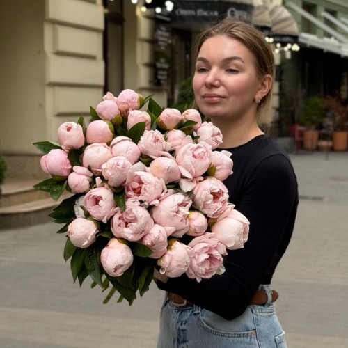 Півонія Pink Vanguard