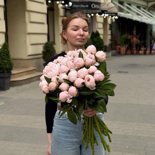 Півонія Pink Vanguard