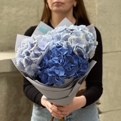 Mix of 3 hydrangeas in cool shades «Fresh Breeze»