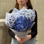 Mix of 3 hydrangeas in cool shades «Fresh Breeze»