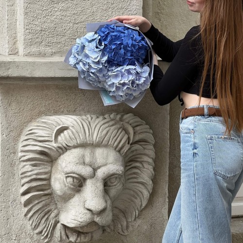 Mix of 3 hydrangeas in cool shades «Fresh Breeze»