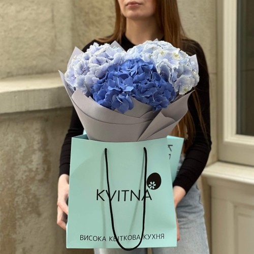 Mix of 3 hydrangeas in cool shades «Fresh Breeze»