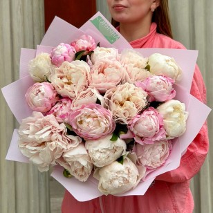 Mix of 21 delicate peonies «Clouds of Pleasure»