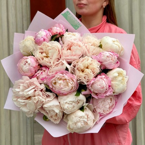 Mix of 21 delicate peonies «Clouds of Pleasure»
