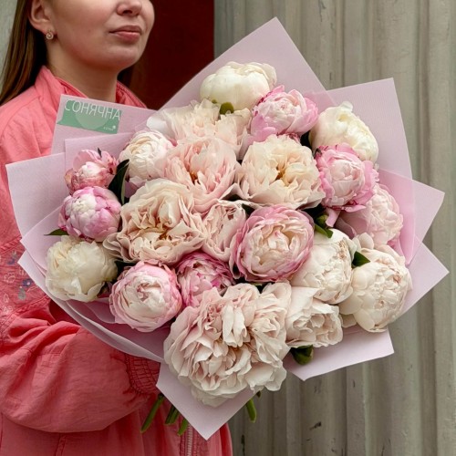 Mix of 21 delicate peonies «Clouds of Pleasure»