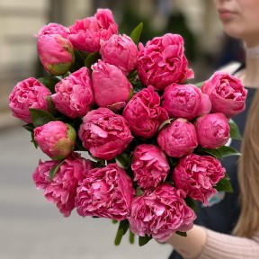 Пион Kathy's Touch