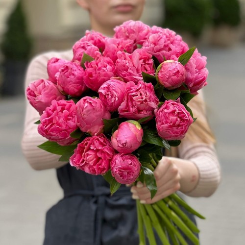 Пион Kathy's Touch