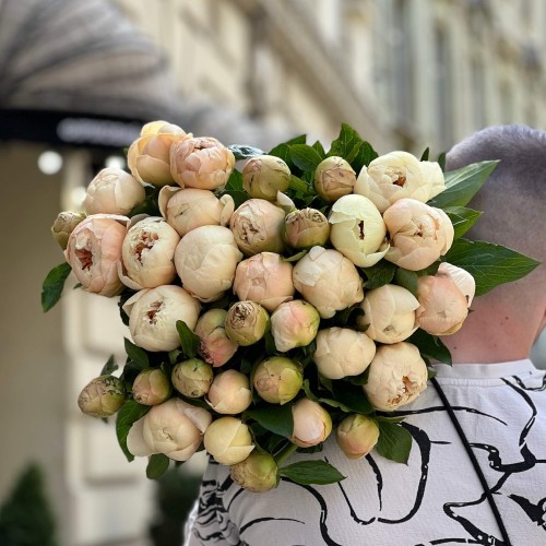 Пион Pastel Elegance