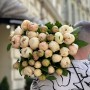 Пион Pastel Elegance