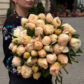 Пион Libera