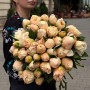 Пион Libera