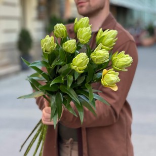 Ексклюзивна лілія Roselily Double Blizz