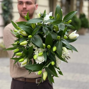 Лілія Bowl of Beauty