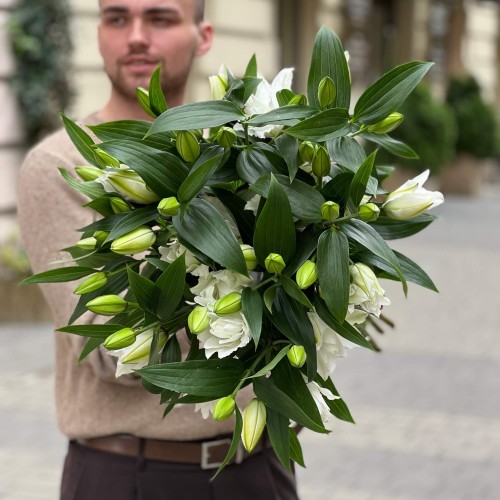 Лілія Bowl of Beauty