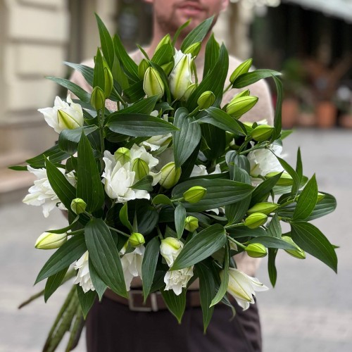 Лілія Bowl of Beauty