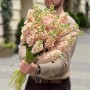 Milla Salmon Matthiola