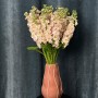 Milla Salmon Matthiola