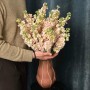Milla Salmon Matthiola