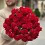 Hashtag Treasure Spray Peony Rose