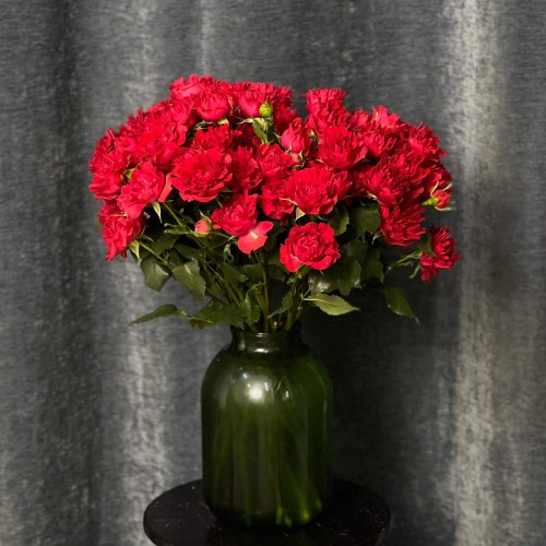 Hashtag Treasure Spray Peony Rose