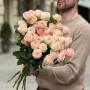 Lady Ella Spray Peony Rose