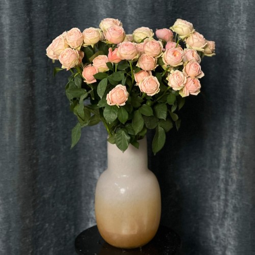 Lady Ella Spray Peony Rose