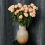 Lady Ella Spray Peony Rose