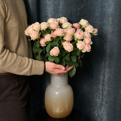 Lady Ella Spray Peony Rose