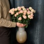Lady Ella Spray Peony Rose