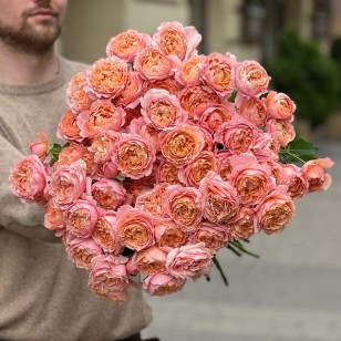 Juliet Spray Peony Rose