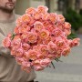 Juliet Spray Peony Rose