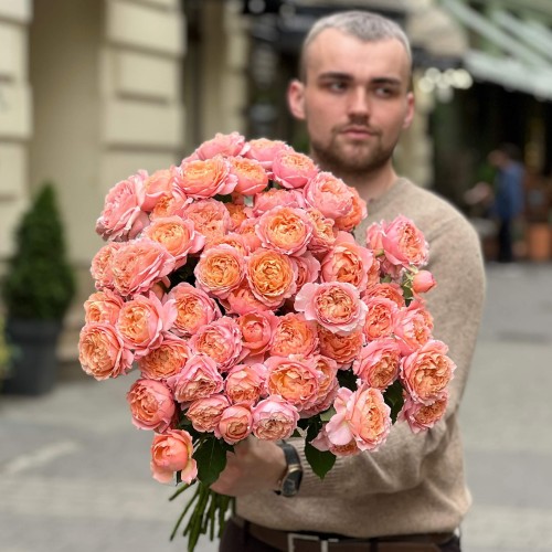 Juliet Spray Peony Rose