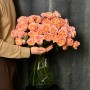 Juliet Spray Peony Rose
