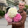 Bouquet of 3 delicate hydrangeas «Pink Cloud»