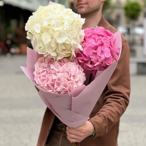 Bouquet of 3 delicate hydrangeas «Pink Cloud»