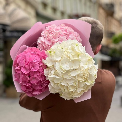 Bouquet of 3 delicate hydrangeas «Pink Cloud»