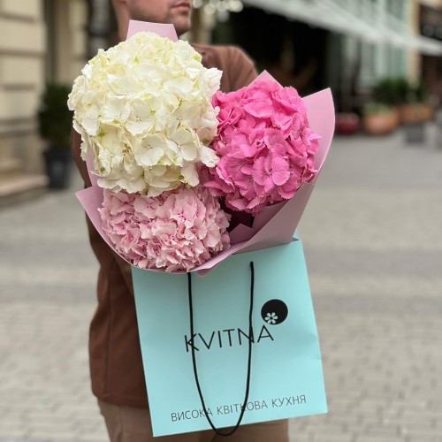 Bouquet of 3 delicate hydrangeas «Pink Cloud»