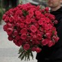 Півонієвидна кущова троянда Red Piano