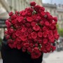 Півонієвидна кущова троянда Red Piano