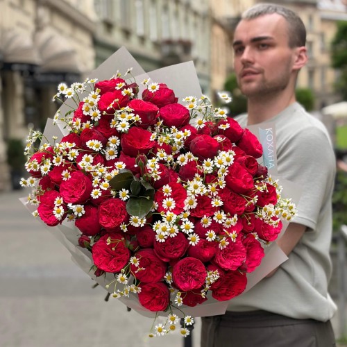 Розкішний букет із піоновидною кущовою трояндою Red Piano з танацетумом «Польове кохання»