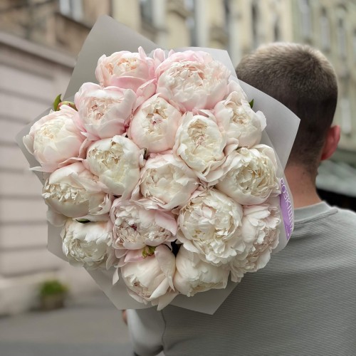17 півоній Gardenia у букеті «Пухка чарівність»
