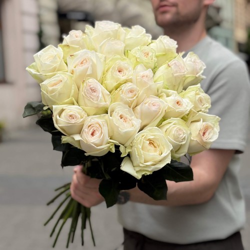 Півонієвидна троянда White O'Hara