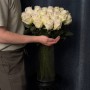 Півонієвидна троянда White O'Hara