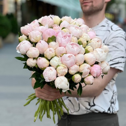 Півонія Mother's Choice