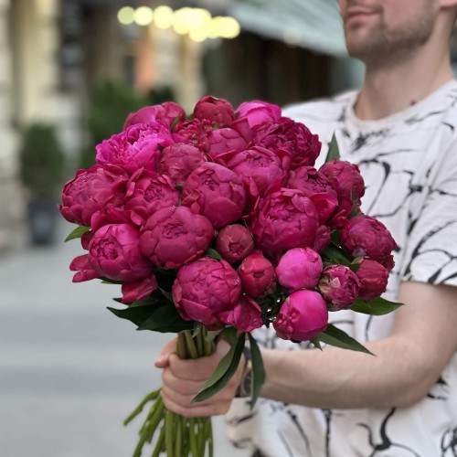 Півонія Victoire de la Marne