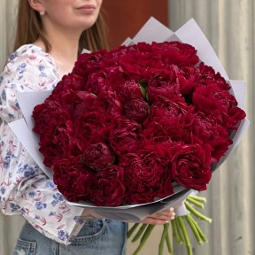 25 розкішних оксамитових півоній Armani у букеті «Гранатове море»
