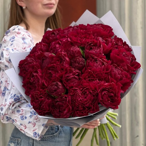 25 розкішних оксамитових півоній Armani у букеті «Гранатове море»