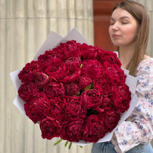 25 розкішних оксамитових півоній Armani у букеті «Гранатове море»