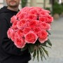 Півонієвидна троянда Candy X-Pression