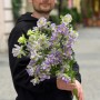 Evergreen Blue Campanula